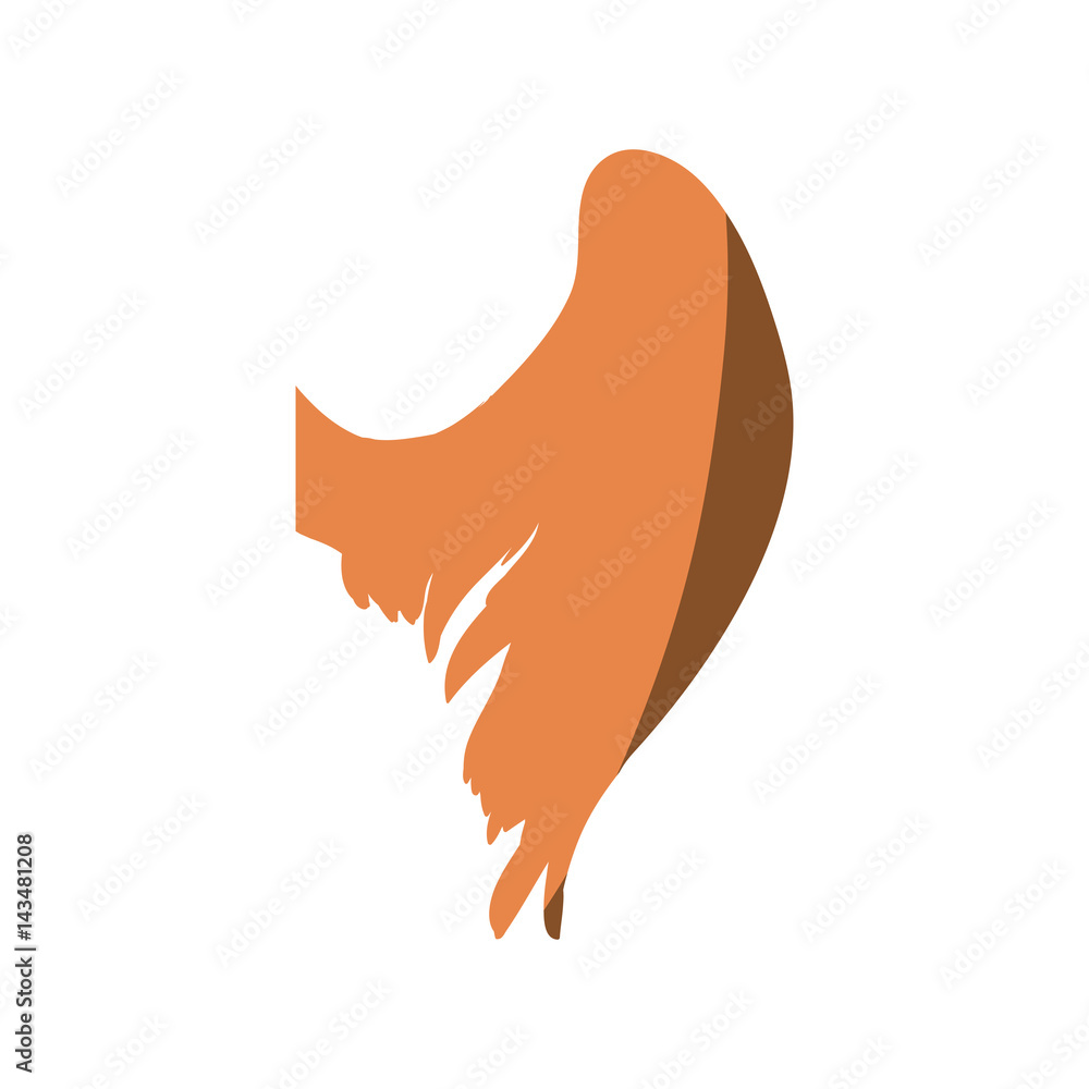 Feathers wing silhouette icon vector illustration graphic design