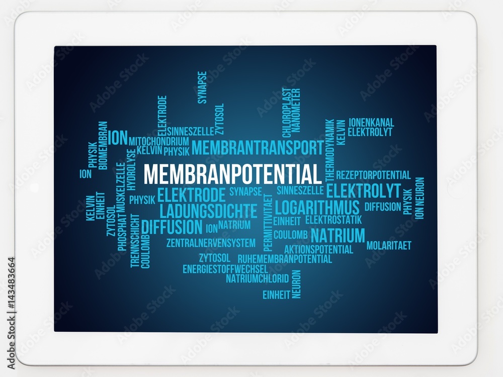 Membranpotential
