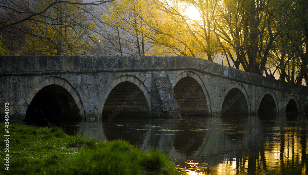 Fototapeta premium Rome Bridge, Sarajevo