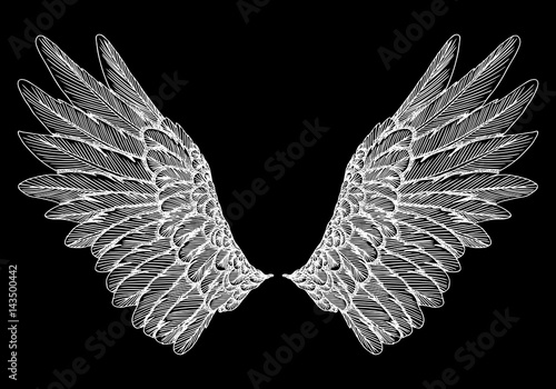 Spread set of wings. Hand drawn etched woodcut vintage style pair of wing collection vector.