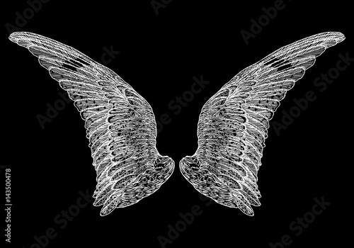 Spread set of wings. Hand drawn etched woodcut vintage style pair of wing collection vector.