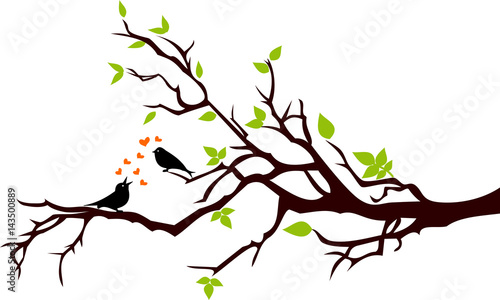 Pajaros enamorados