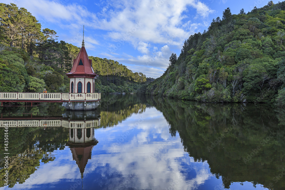 Naklejka premium Zealandia
