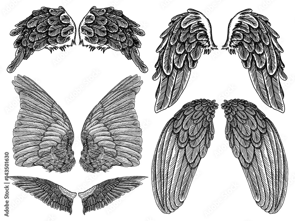 Heraldic wings set for tattoo and mascot design. Isolated vector ...