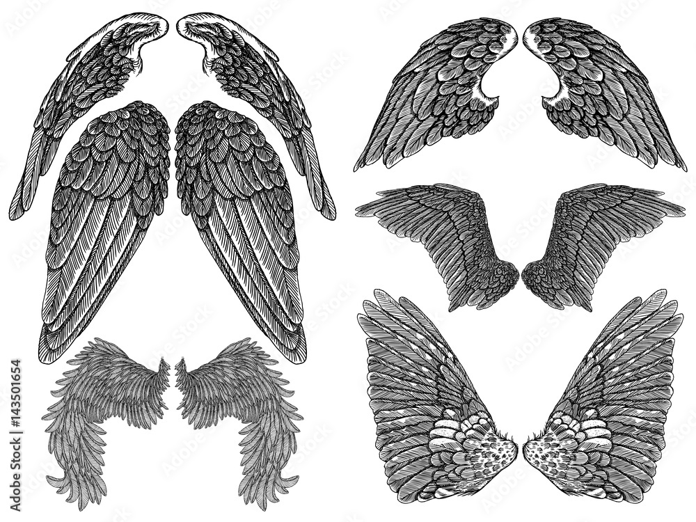 Heraldic wings set for tattoo and mascot design. Isolated vector ...