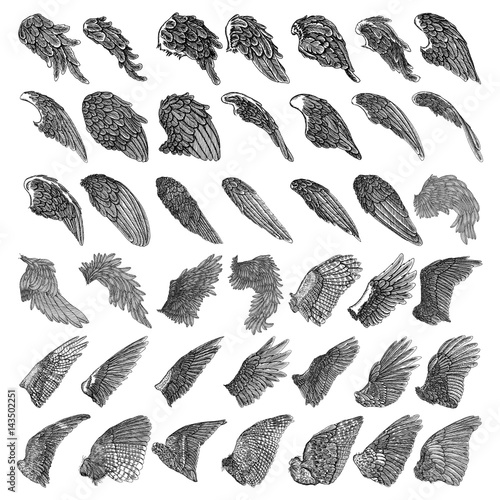 Set of hand drawn vintage etched woodcut angel or bird detailed wings. Heraldic wings for tattoo and mascot design. Isolated sketch collection vector. Card, poster, t-shirt, smart phone, CD print.