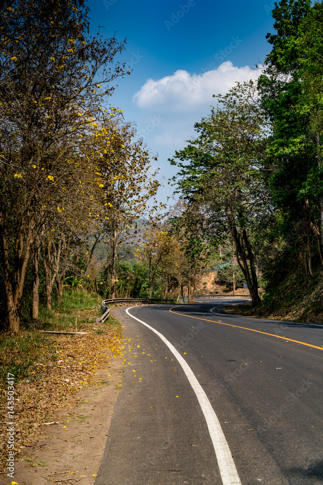 Asphalt Country road