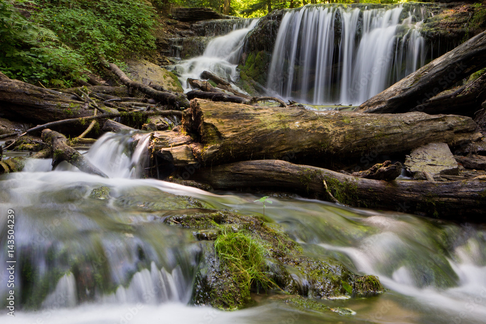 Fototapeta premium Waterfall in Carolinian forest