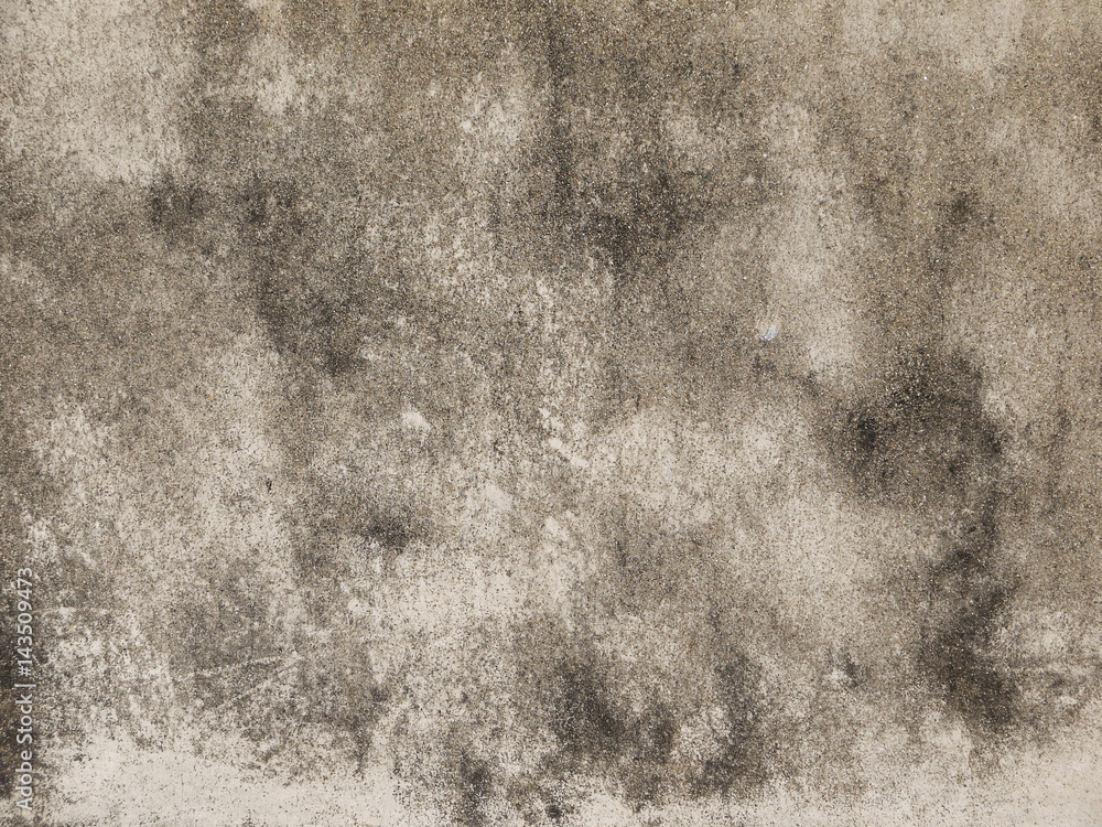 Fototapeta premium Aged or grunge concrete wall texture