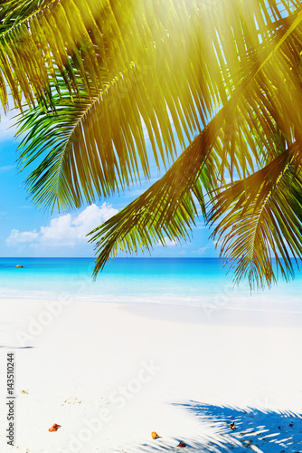 Photo of a tropical beach on the sunny day