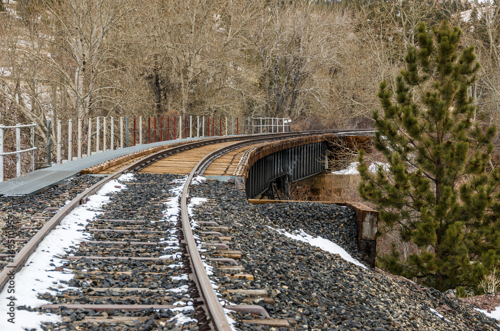 Fototapeta premium Curved Railroad Bridge