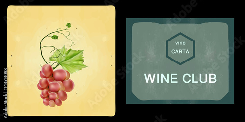 Fresh bunch of grapes. Manufacturer of fresh juices and wine. Logo.