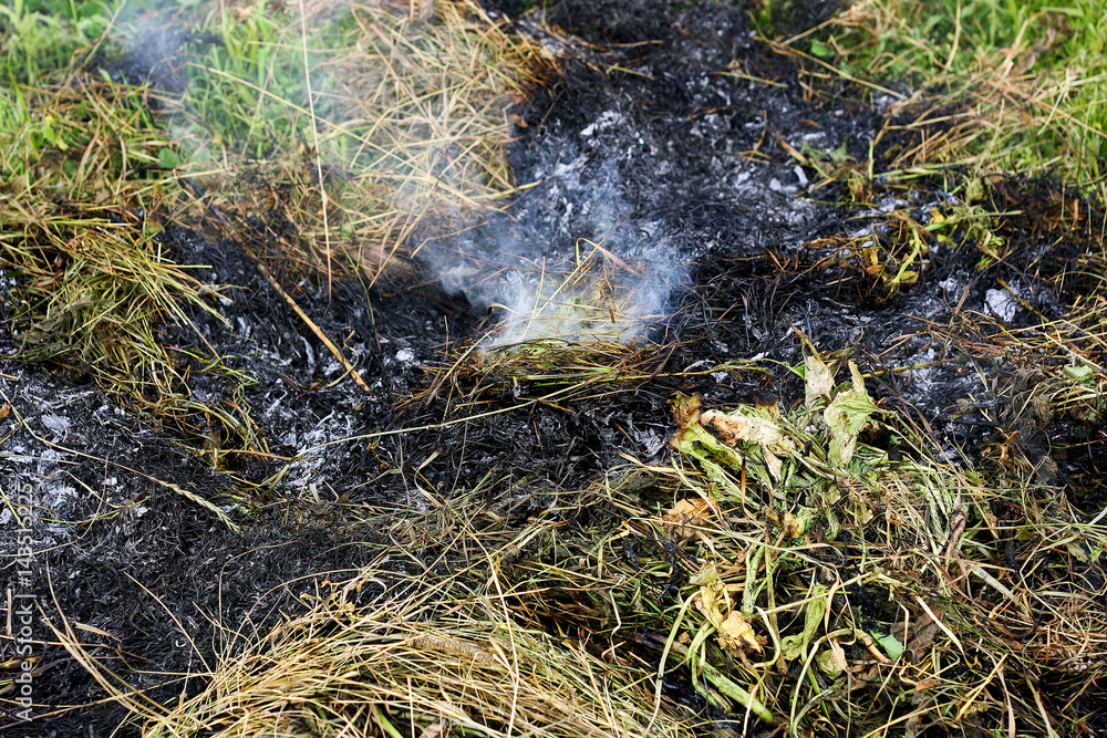 Burnt dry grass. Burnt dry grass.