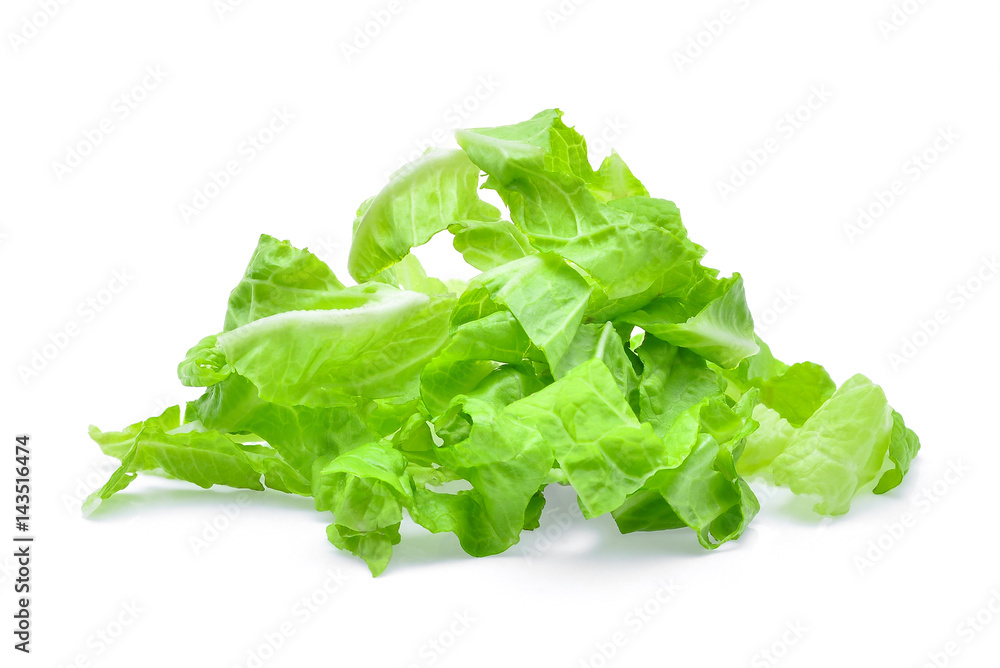 pile of slice fresh baby cos,lettuce isolated on white background pile of slice fresh baby cos,lettuce isolated on white background
