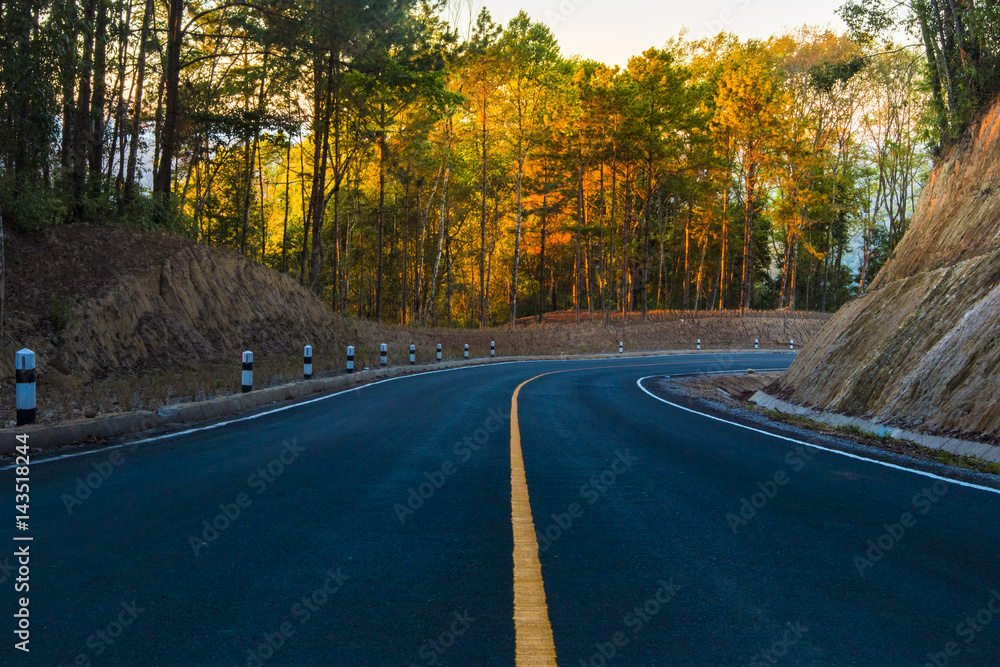 Naklejka premium road in forest autumn