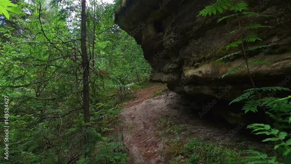 path among old stones and wild woods path among old stones and wild woods