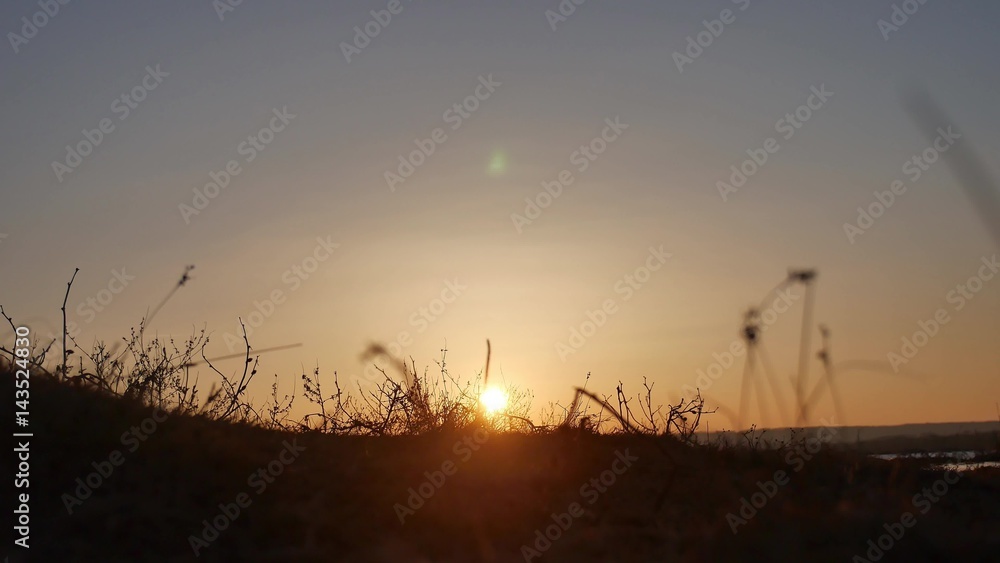 nature sunset. grass swaying in the wind on a beautiful sunset nature silhouette nature sunset. grass swaying in the wind on a beautiful sunset nature silhouette