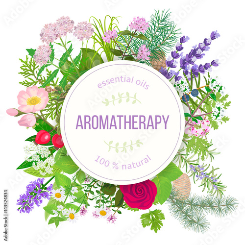 Popular essential oil plants label set. round badge with text aromatherapy