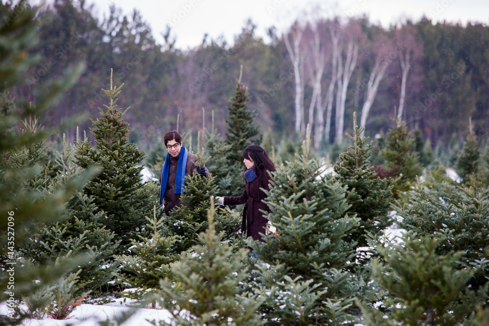 Mixed race couple searching for and cutting down a Christmas Tree