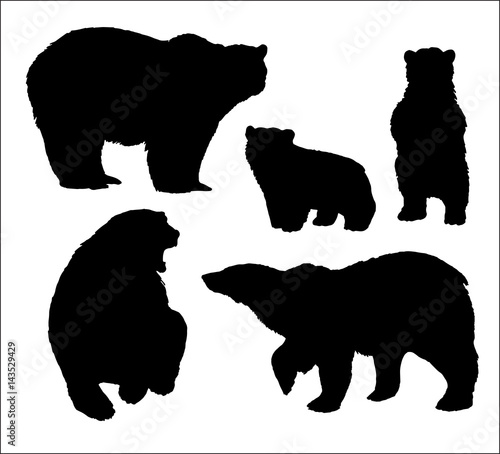 set of isolated hand drawn polar bear silhouettes