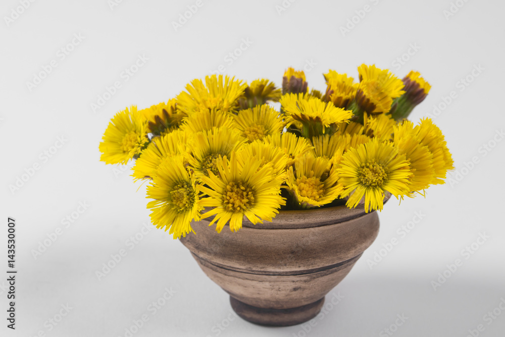 Bouquet of yellow spring flower on a white background Bouquet of yellow spring flower on a white background