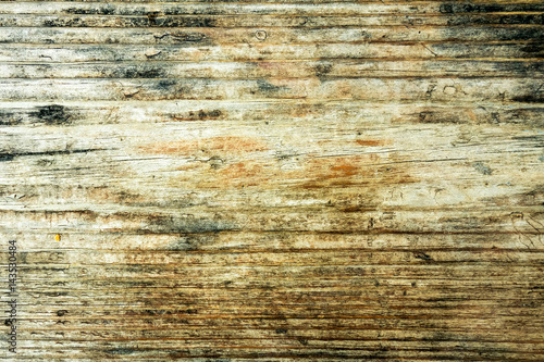wood grungy background with space for your design