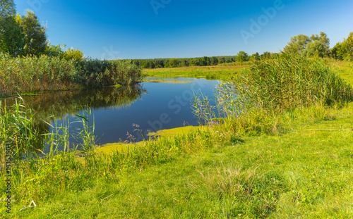 Pictorial summer landscape with small river Merla, Poltavskaya oblast, Ukraine
