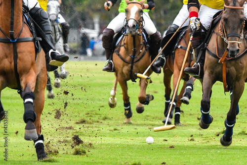 Horses running in a polo match. photo