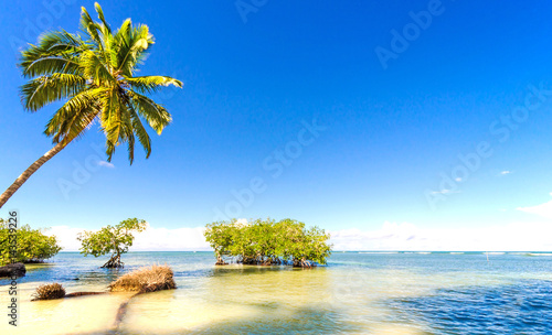 Ferien  Tourismus  Gl  ck  Freude  Ruhe  Auszeit  Meditation  Traumurlaub an einem einsamen Strand in der Karibik    