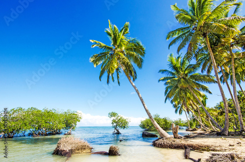 Ferien  Tourismus  Gl  ck  Freude  Ruhe  Auszeit  Meditation  Traumurlaub an einem einsamen Strand in der Karibik    