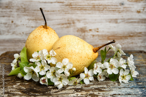 Still life with pears and pear flowers on vintage wood background 