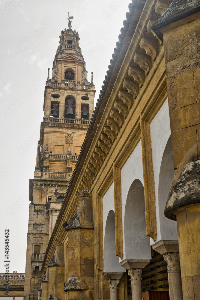 Cordoba (Andalucia, Spain): cathedral courtyard