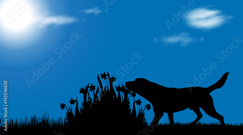 Vector silhouette of dog on garden.