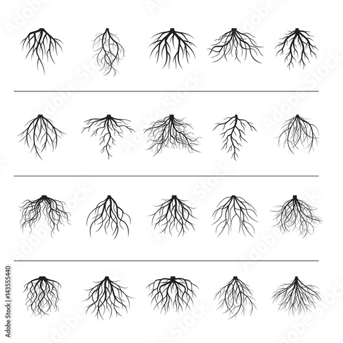 Big set of black roots. Vector Illustration.
