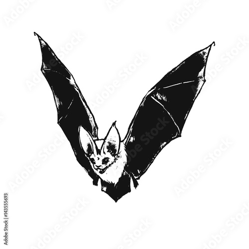 Flying bat. Little vampire. Gothic illustration. Halloween style. Drawn bat.  Stock Vector | Adobe Stock