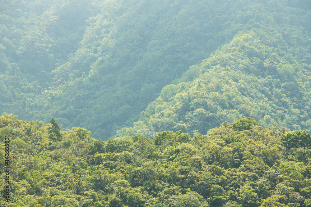 Fototapeta premium Misty green hills