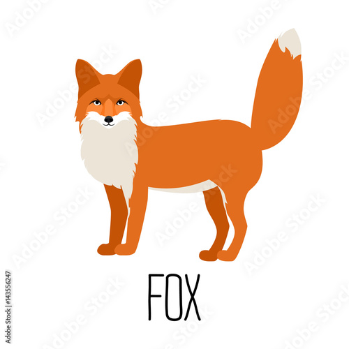 Cute fox cartoon vector illustration isolated
