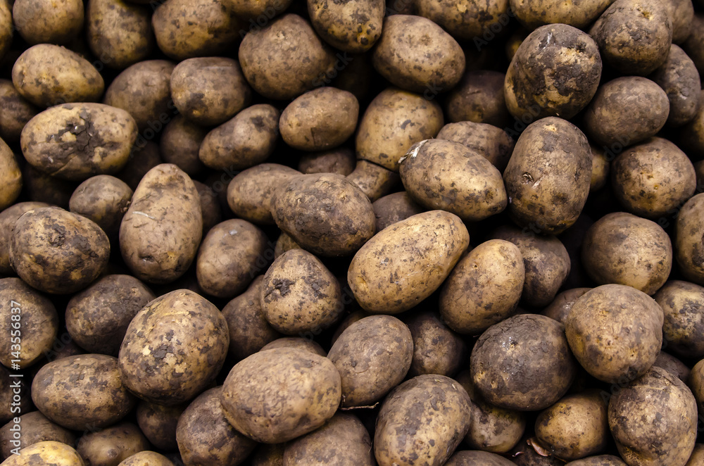 Fresh organic potatoes sold on market Fresh organic potatoes sold on market