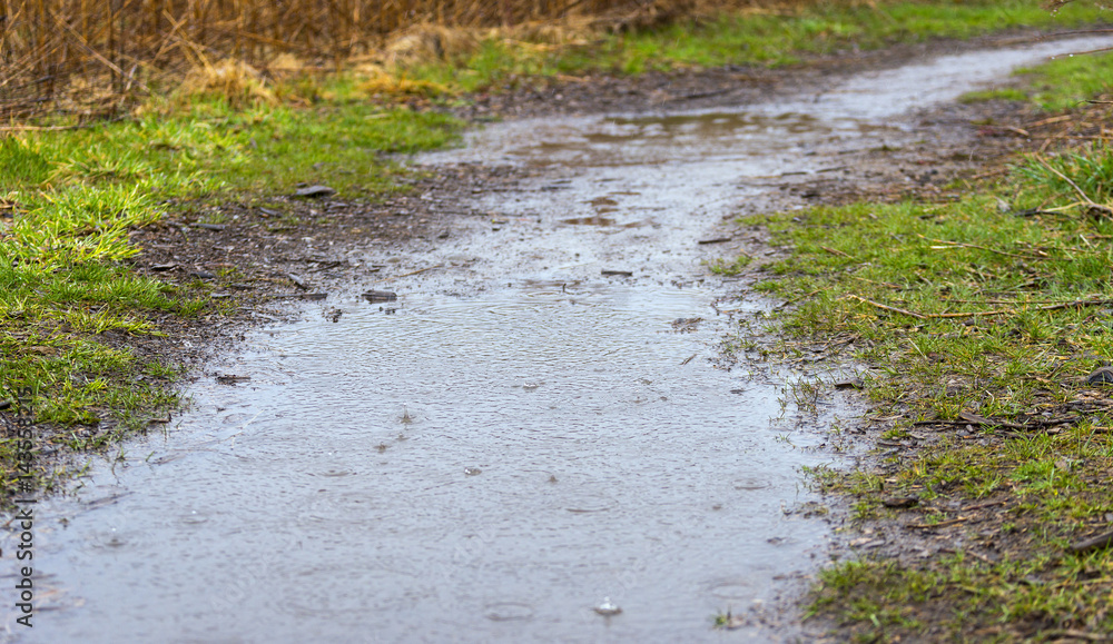 Heavy rain drops splashing onto a flooded dirt footpath through natural park land, spring concept