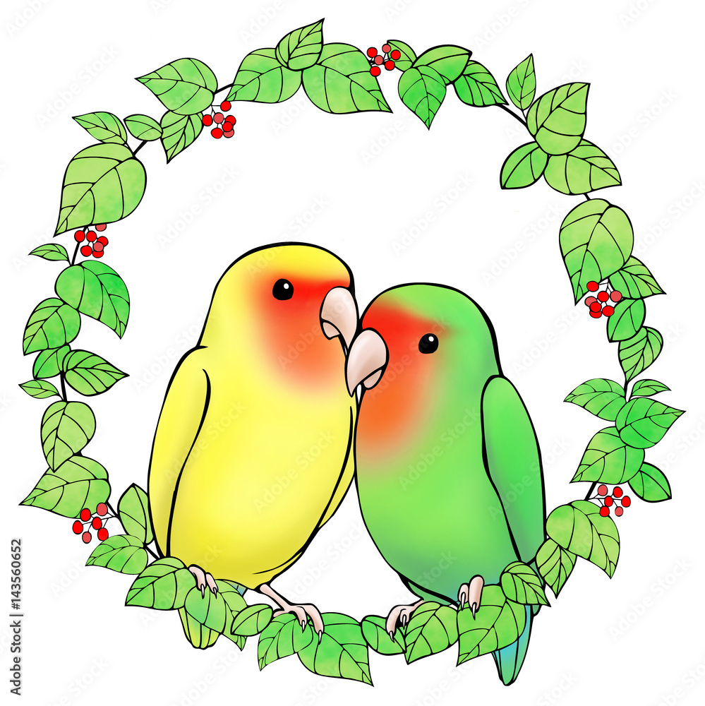 小桜インコ の画像 38 件の Stock 写真 ベクターおよびビデオ Adobe Stock