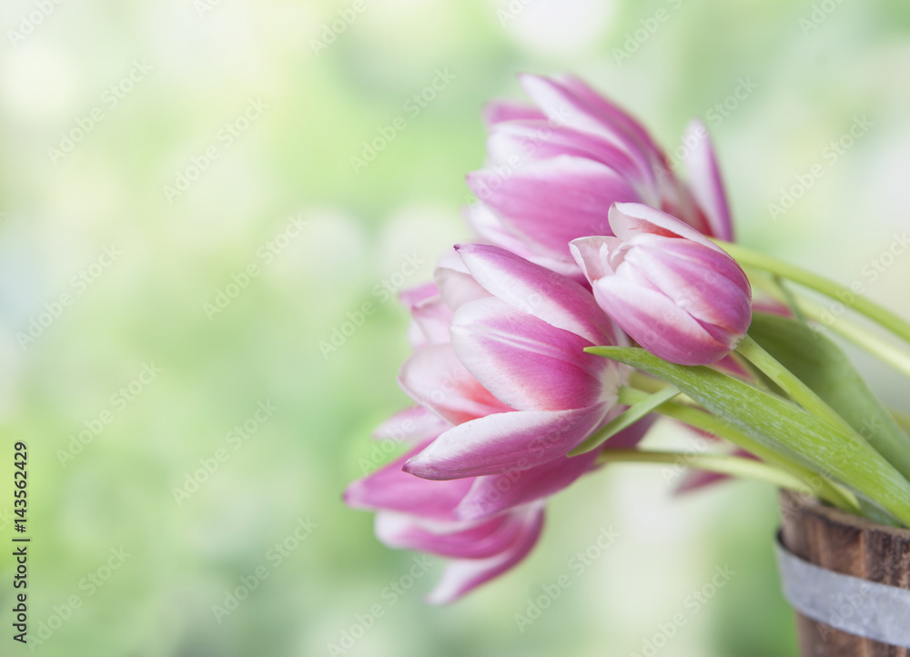 Fototapeta premium Spring Flowers Bouquet