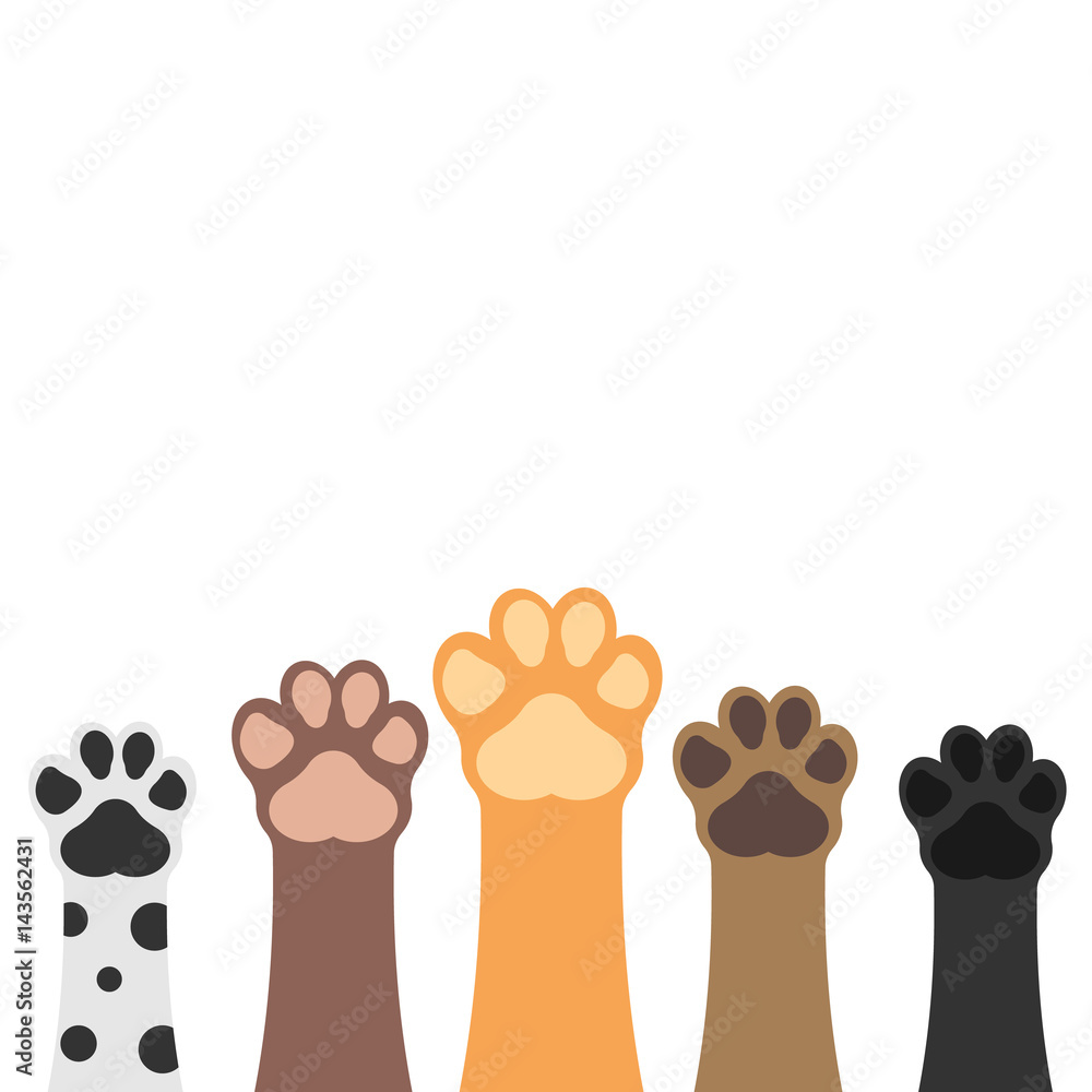 Paws up pets set isolated on white background. Vector illustration. - obrazy, fototapety, plakaty 