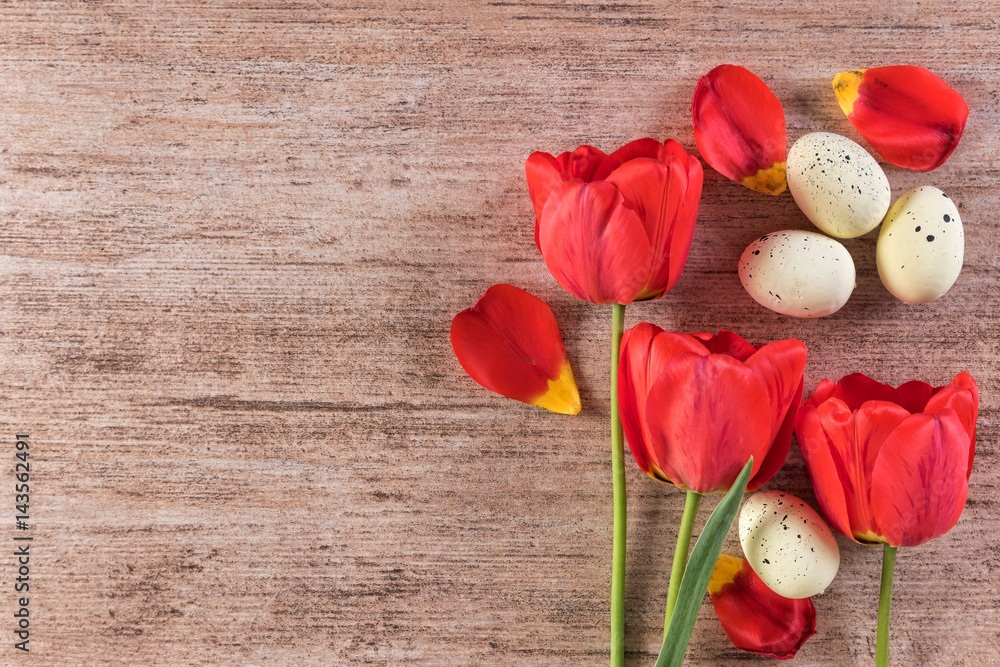 Red tulip Easter background on light brown with easter eggs. Closeup, text space
