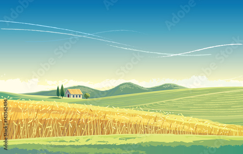Rural landscape with wheat field and house on the hill.