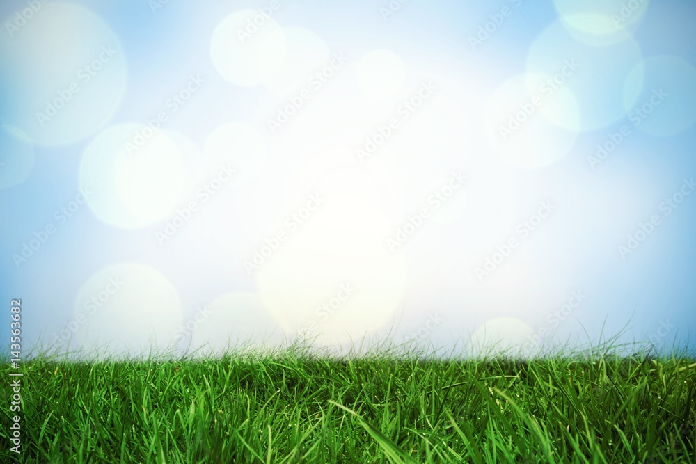 Composite image of grass Composite image of grass