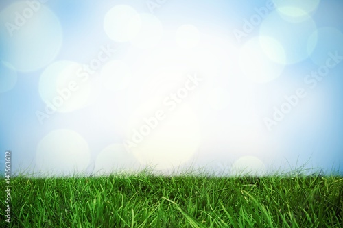 Composite image of grass