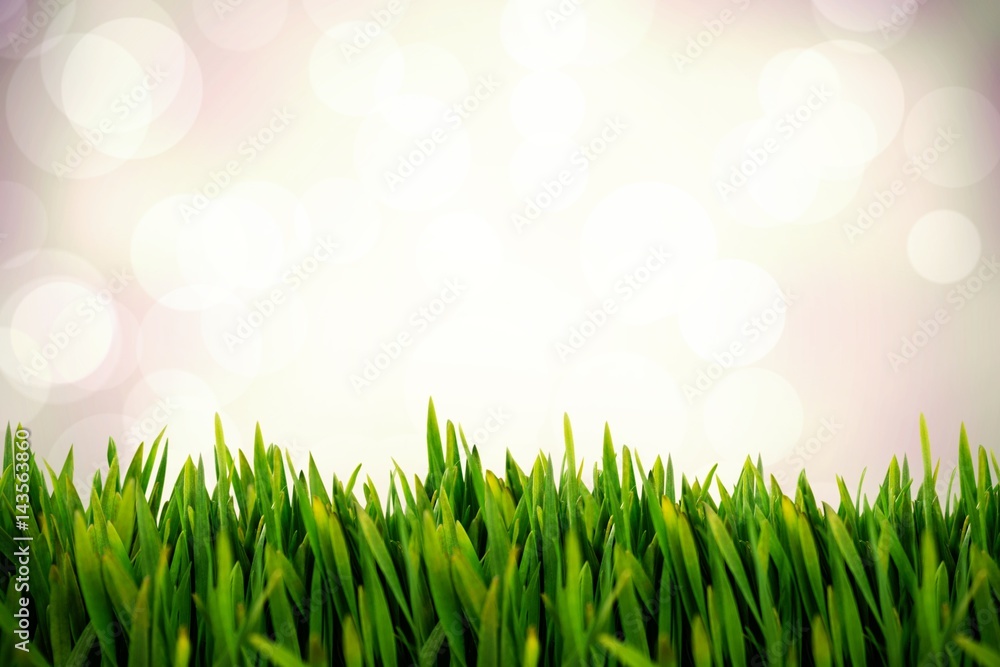 Fototapeta premium Composite image of grass growing outdoors
