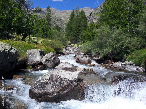 Torrent de Montagne - paysage