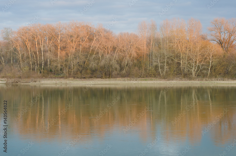 Reflection of the trees in the river Reflection of the trees in the river
