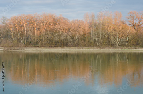 Reflection of the trees in the river